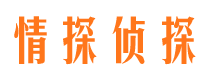 冷水江市婚外情调查